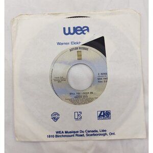 Andrew Gold – Still You Linger On 7” Asylum E-45456 Canada 1978